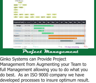 Design Functionality Marketing Design Schedule Order Materials Manufacture Project Management Ginko Systems can Provide Project Management from Augmenting your Team to full Management allowing you to do what you do best.  As an ISO 9000 company we have developed processes to insure optimum result.