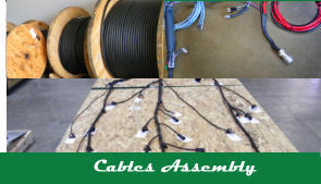 Cables Assembly
