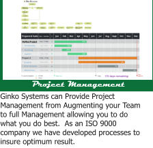 Design Functionality Marketing Design Schedule Order Materials Manufacture Project Management Ginko Systems can Provide Project Management from Augmenting your Team to full Management allowing you to do what you do best.  As an ISO 9000 company we have developed processes to insure optimum result. Define Project Logistics