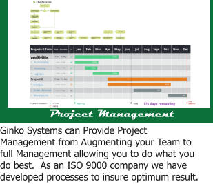 Design Functionality Marketing Design Schedule Order Materials Manufacture Project Management Ginko Systems can Provide Project Management from Augmenting your Team to full Management allowing you to do what you do best.  As an ISO 9000 company we have developed processes to insure optimum result. Define Project Logistics