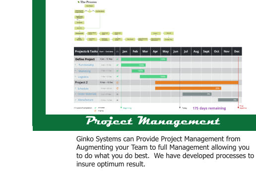 Design Functionality Marketing Design Schedule Order Materials Manufacture Project Management Ginko Systems can Provide Project Management from Augmenting your Team to full Management allowing you to do what you do best.  We have developed processes to insure optimum result. Define Project Logistics